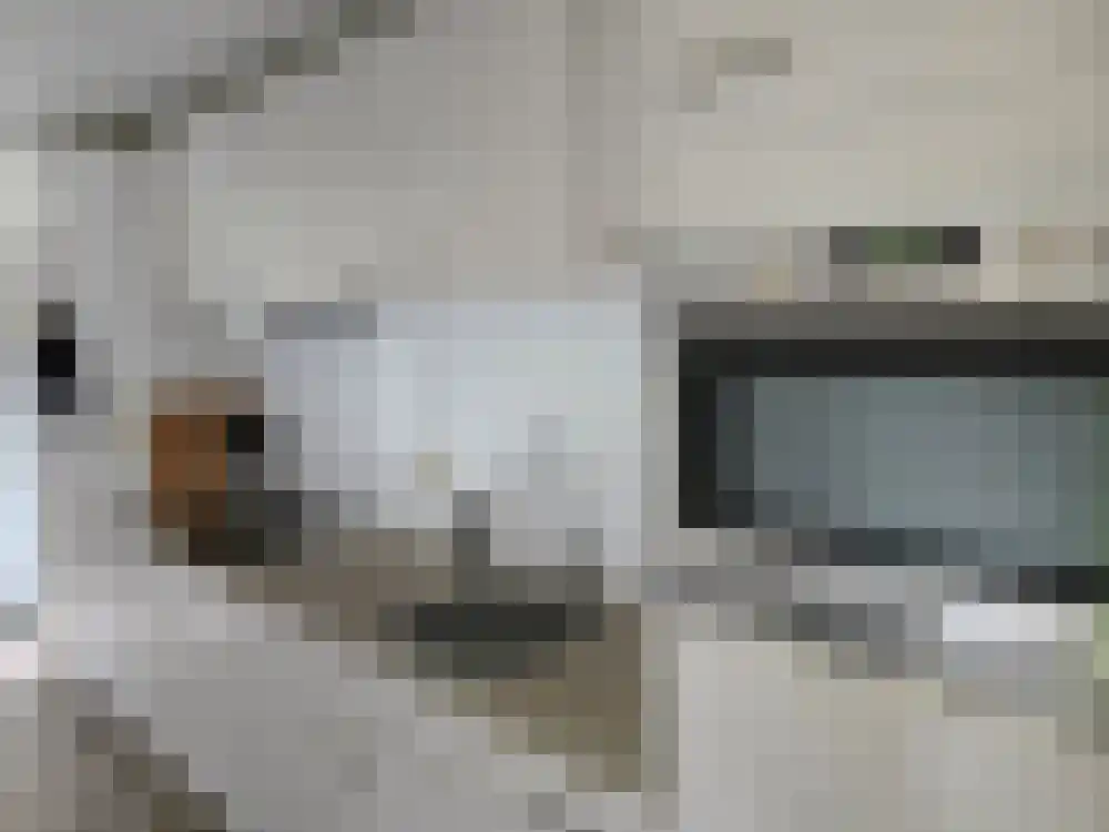 Vijverlaan 1 Q31 Otterlo thumbnail 8
