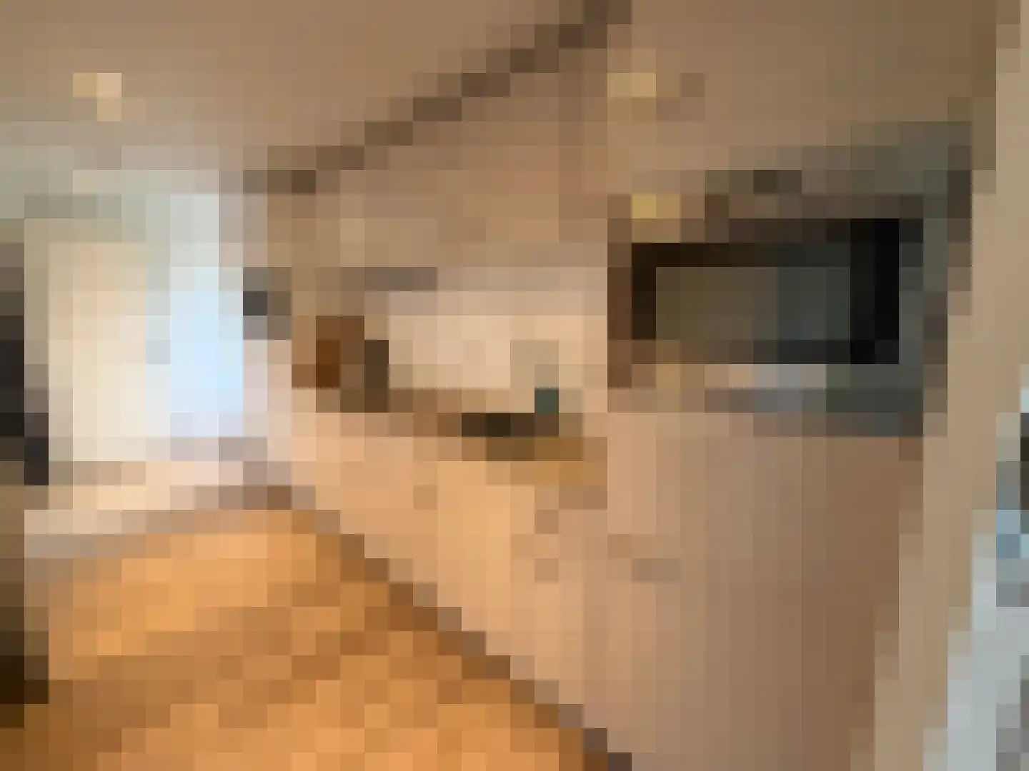 Vijverlaan 1 Q31 Otterlo thumbnail 9