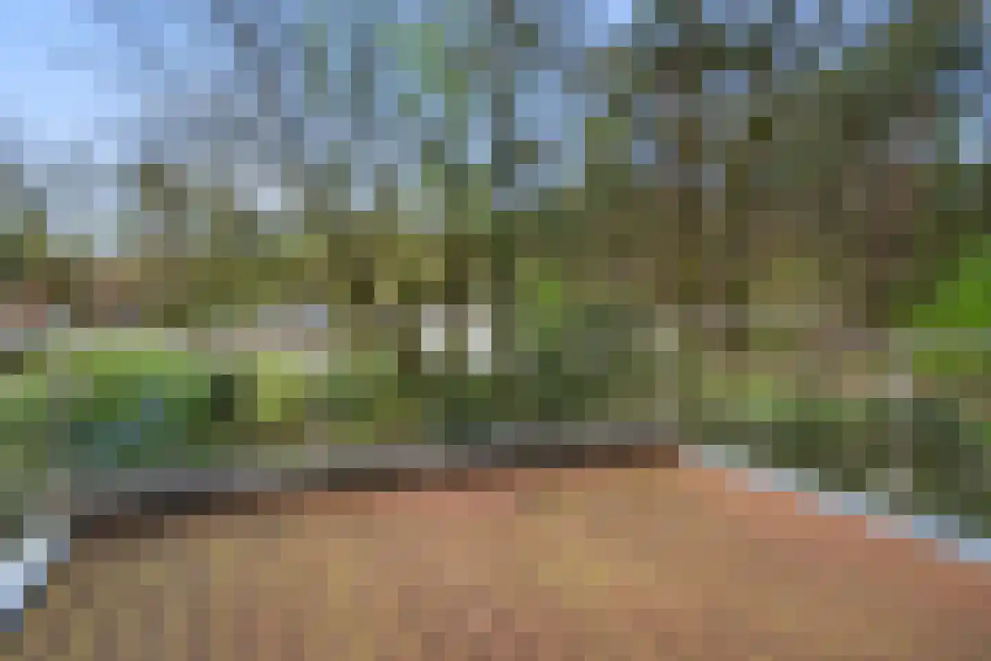 Vijverlaan 1 S2 Otterlo thumbnail 24