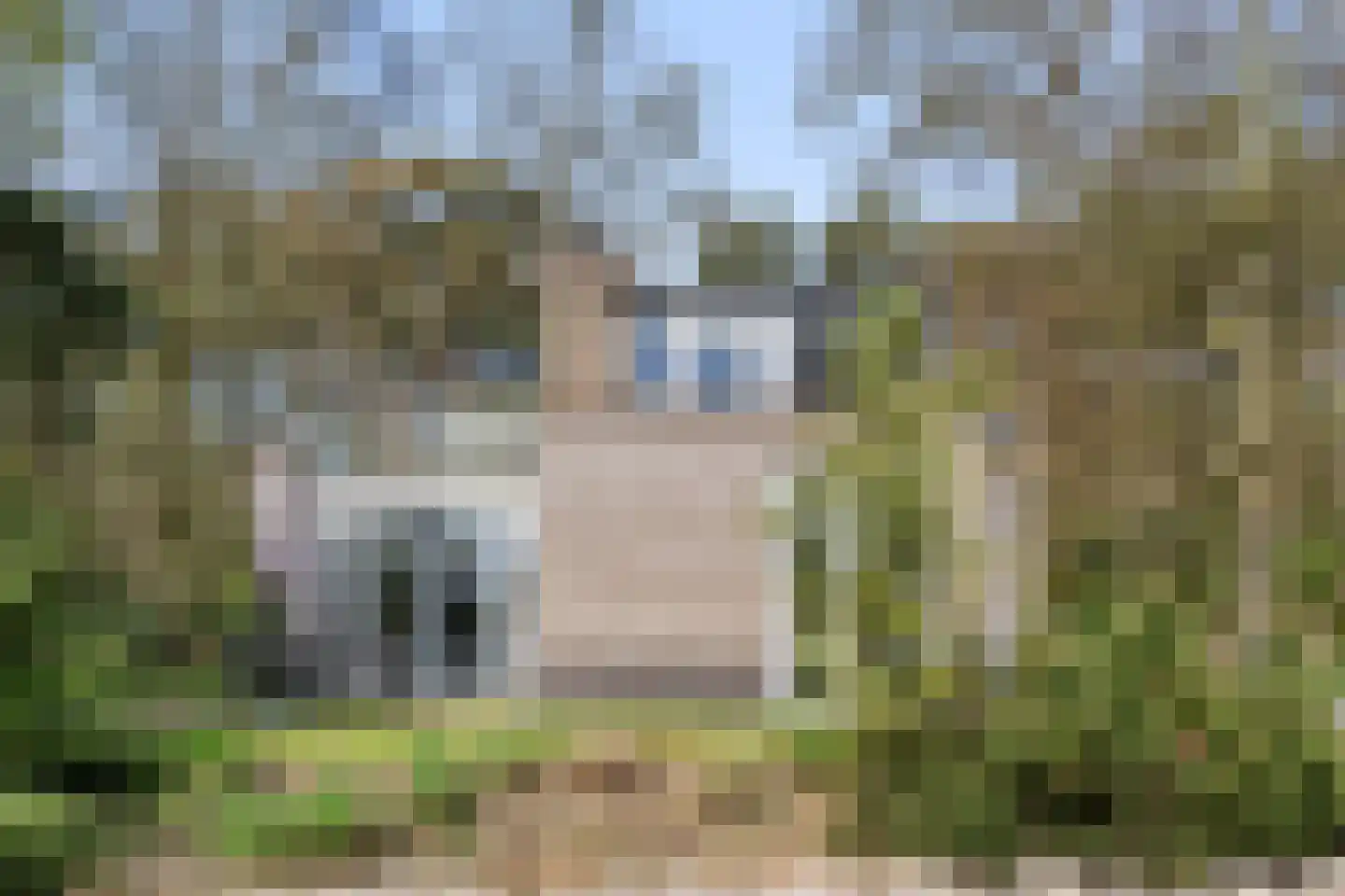 Vijverlaan 1 S2 Otterlo thumbnail 29
