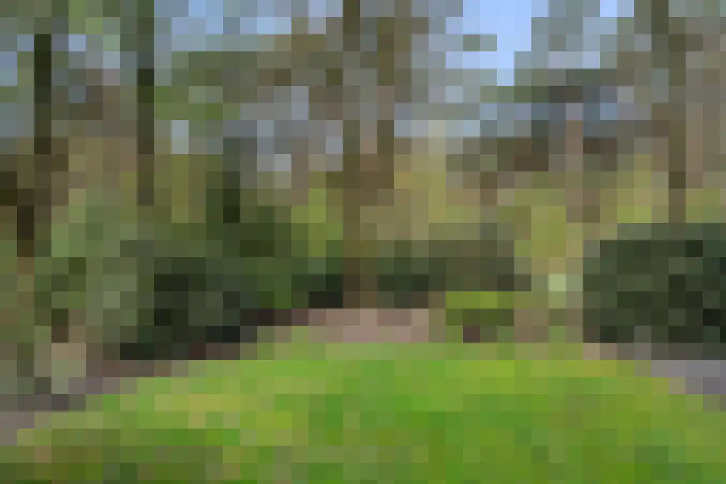 Vijverlaan 1 S2 Otterlo thumbnail 31