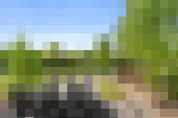 Vijverlaan 1 ST29 Otterlo thumbnail 29