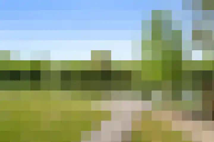 Vijverlaan 1 ST29 Otterlo thumbnail 30