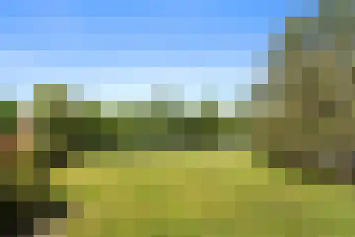 Vijverlaan 1 ST29 Otterlo thumbnail 31