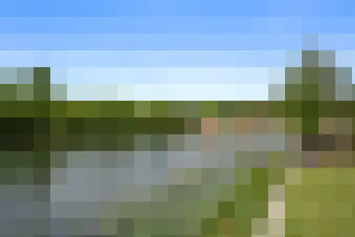 Vijverlaan 1 ST29 Otterlo thumbnail 32