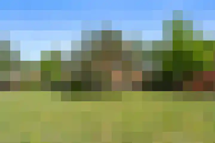 Vijverlaan 1 ST29 Otterlo thumbnail 33
