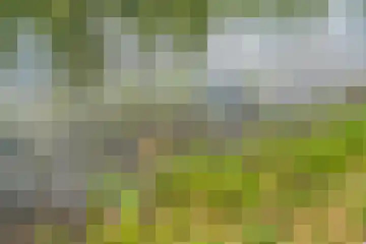 Vijverlaan 1 ST29 Otterlo thumbnail 34