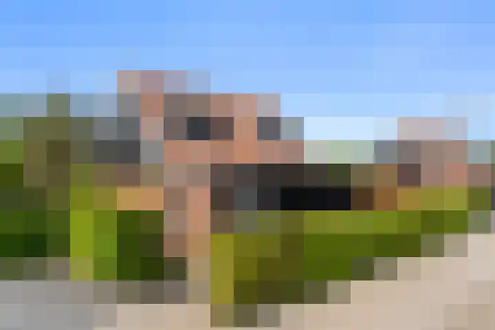 Vijverlaan 1 ST29 Otterlo thumbnail 35