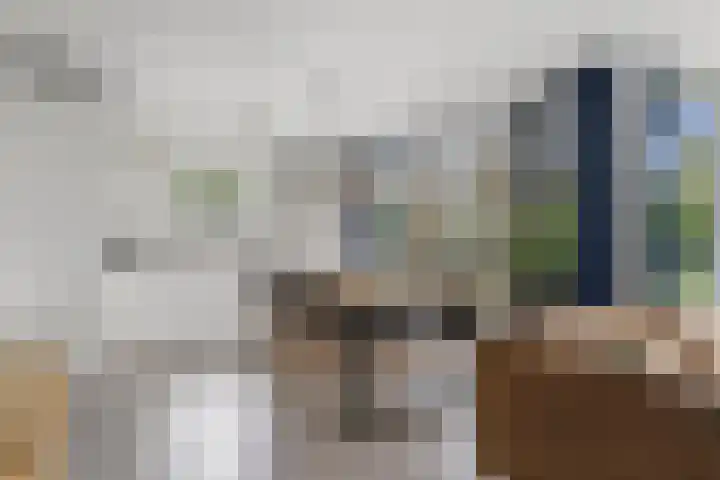 Vijverlaan 1 ST29 Otterlo thumbnail 8
