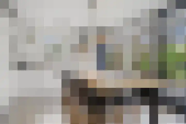 Vijverlaan 1 ST29 Otterlo thumbnail 9