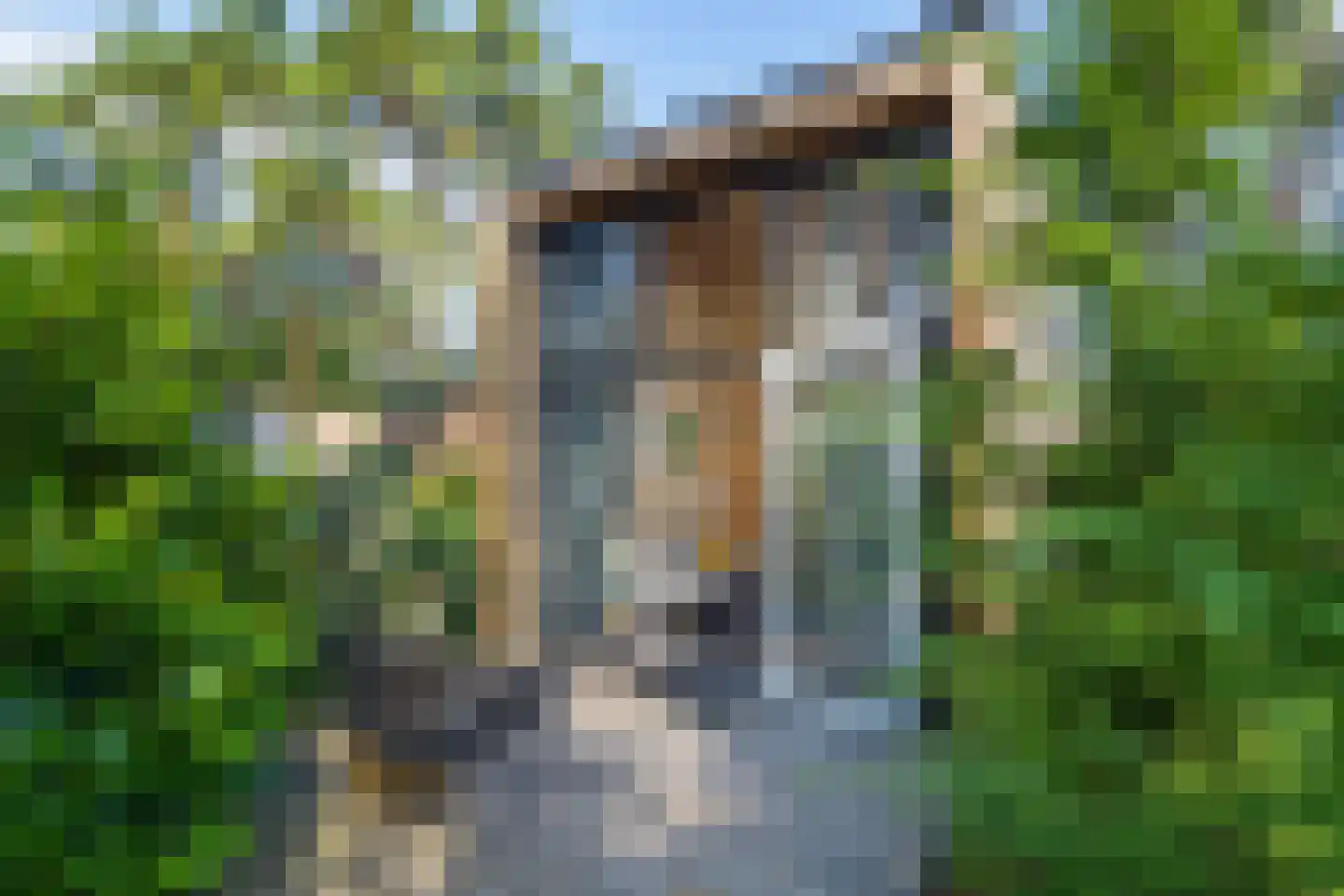 Vijverlaan 1 TH10 Otterlo