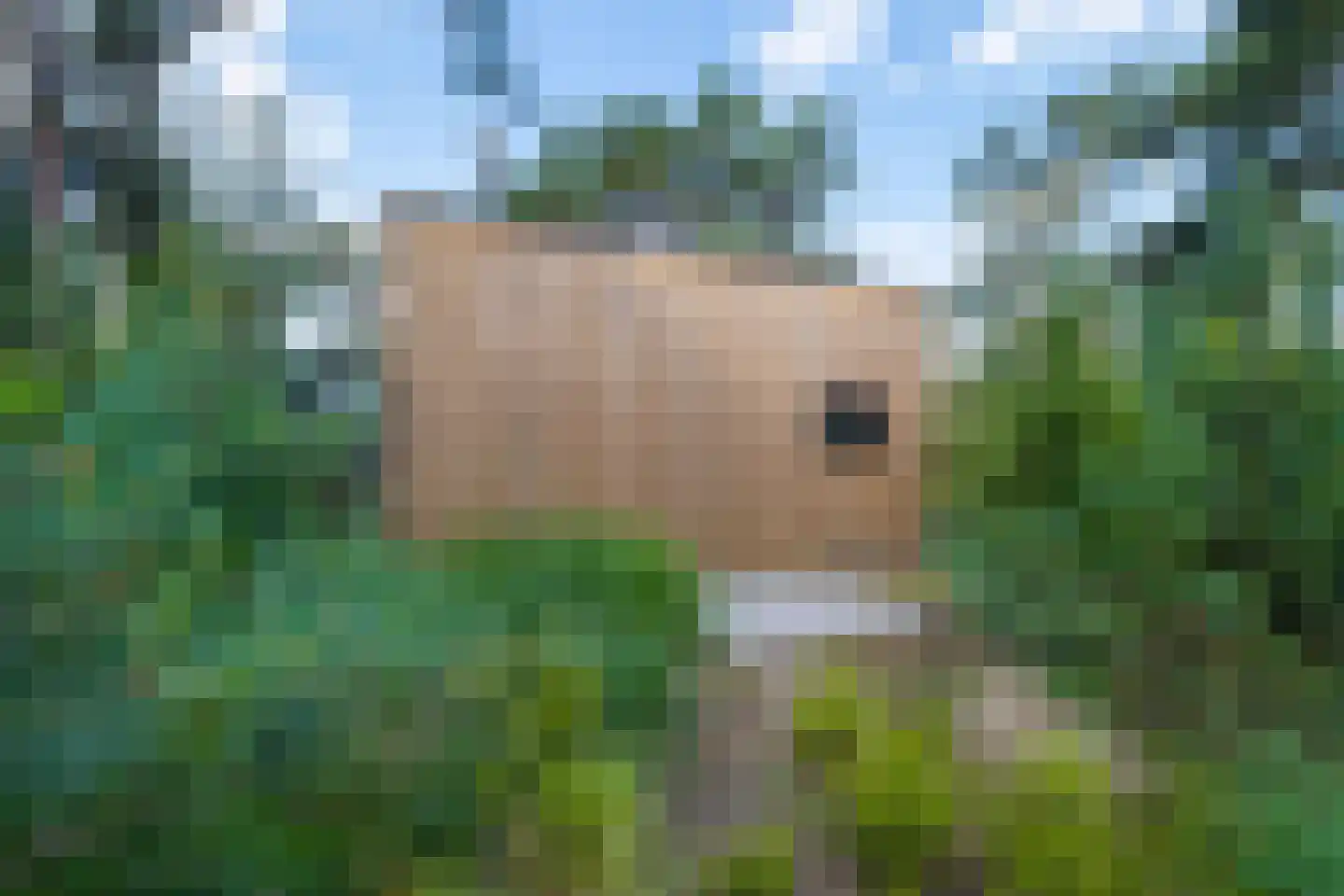 Vijverlaan 1 TH10 Otterlo thumbnail 17