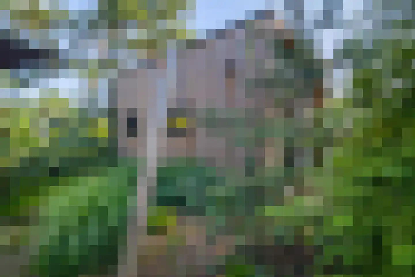 Vijverlaan 1 TH10 Otterlo thumbnail 18