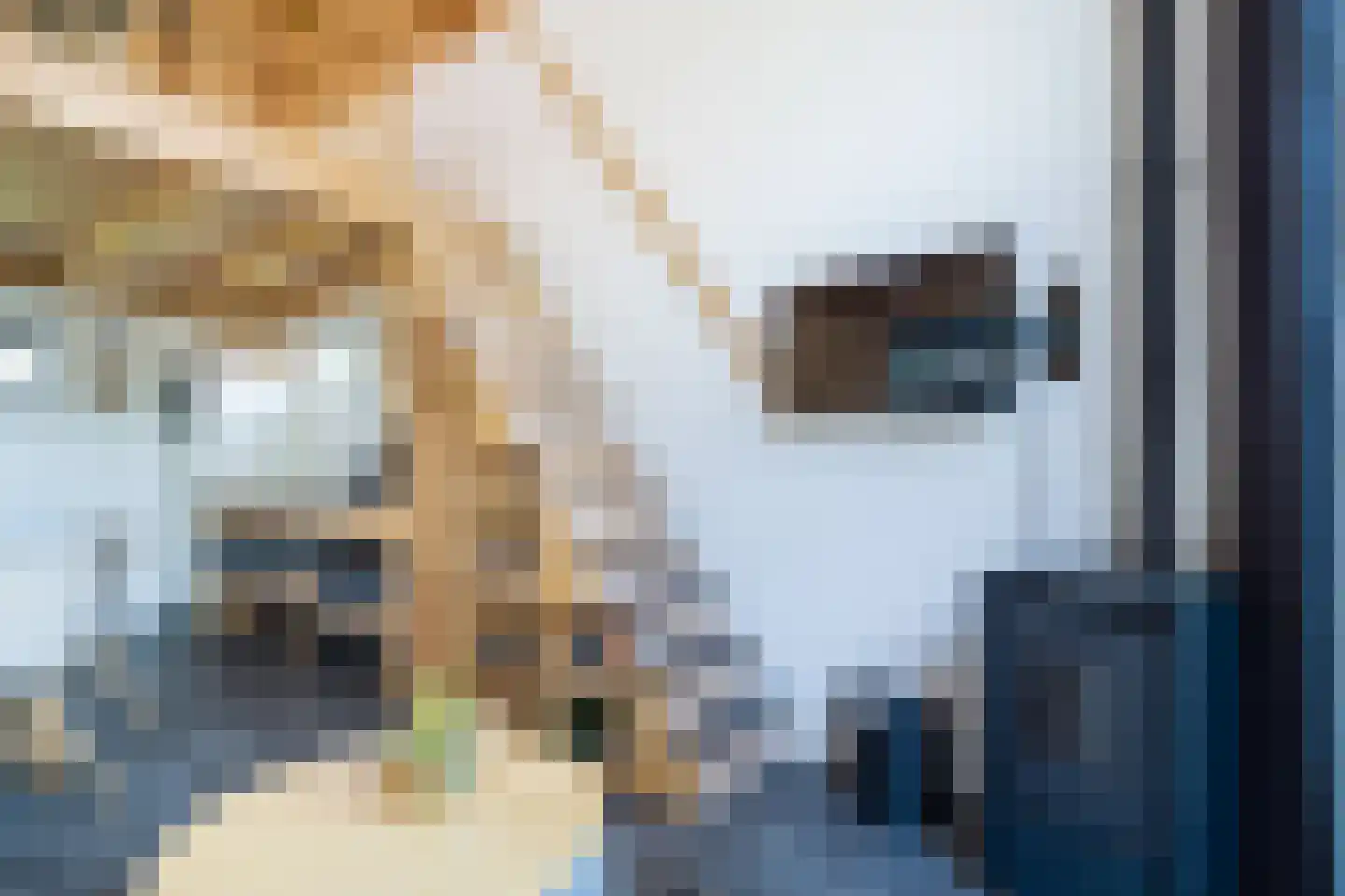 Vijverlaan 1 TH10 Otterlo thumbnail 9
