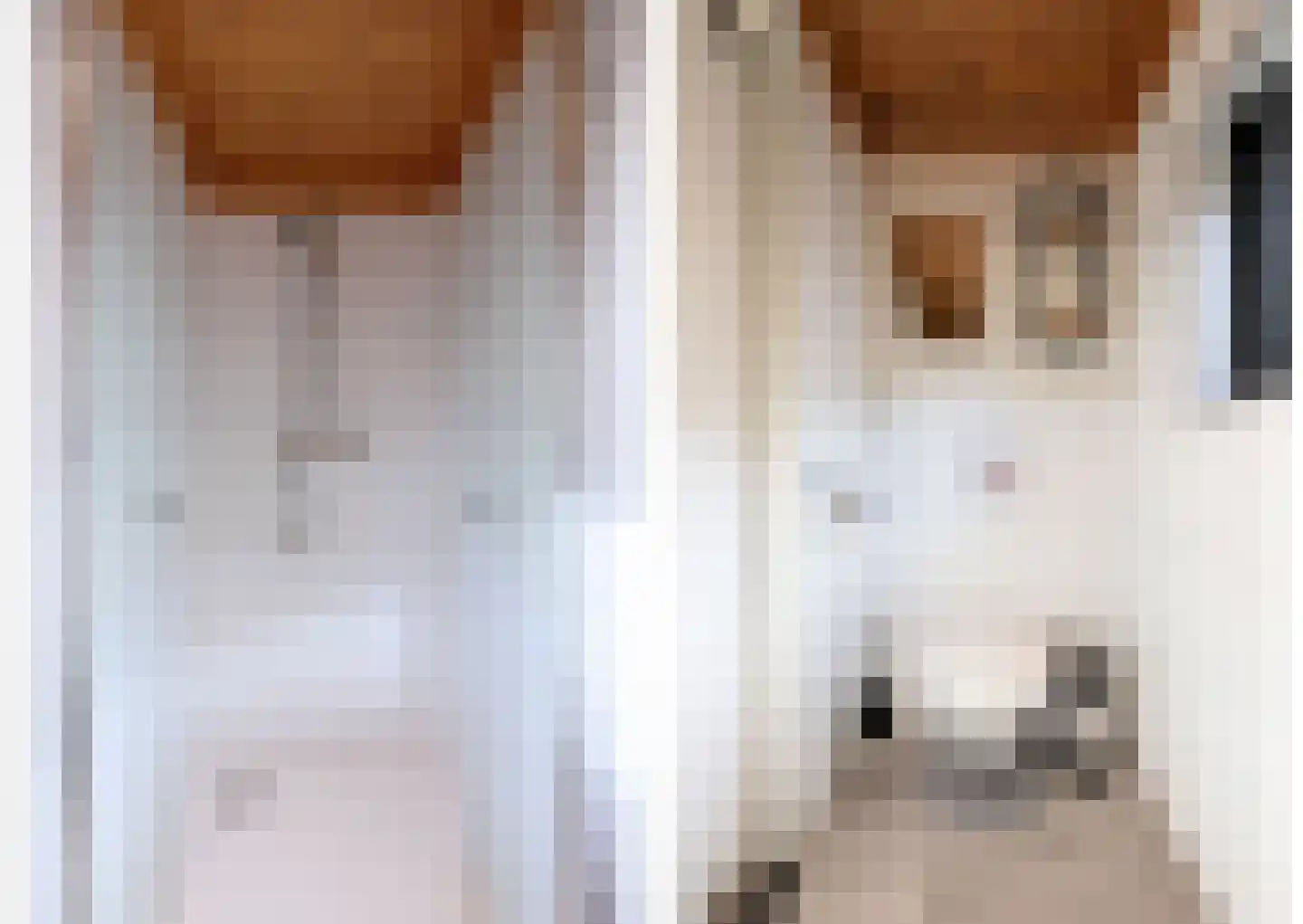 Vijverlaan 1 TH13 Otterlo thumbnail 14