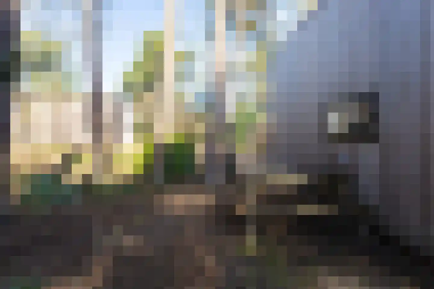 Vijverlaan 1 TH13 Otterlo thumbnail 15