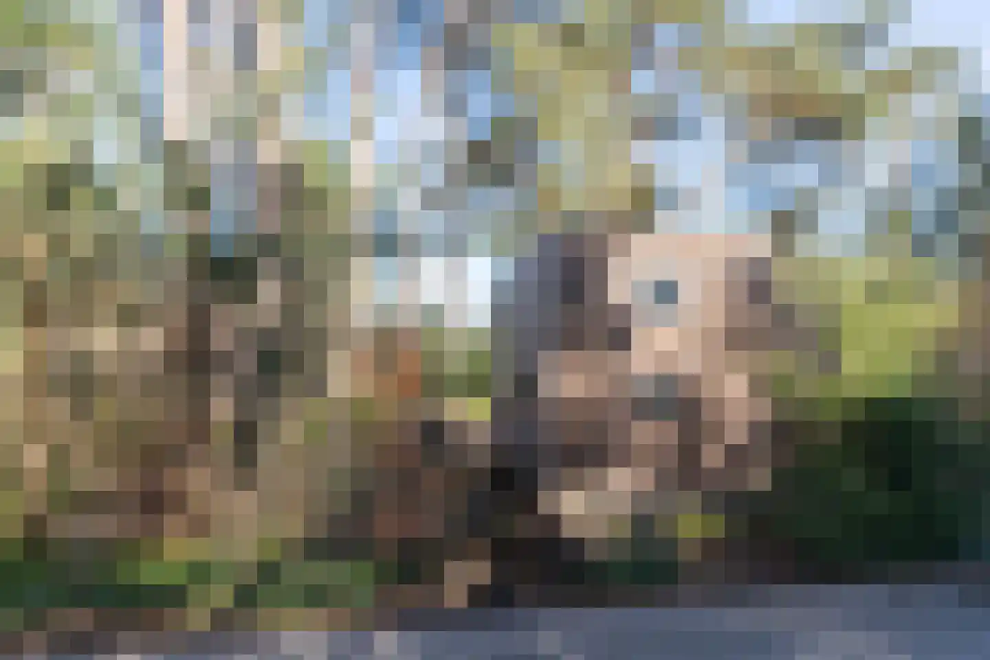 Vijverlaan 1 TH13 Otterlo thumbnail 17