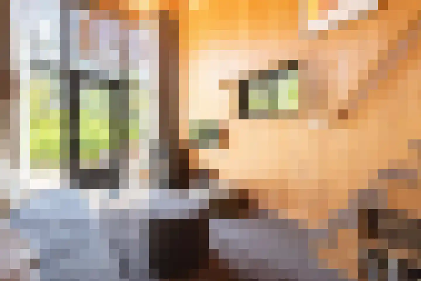 Vijverlaan 1 TH20 Otterlo thumbnail 10