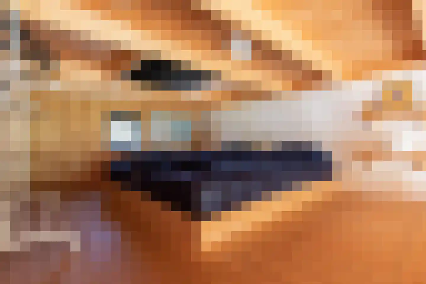 Vijverlaan 1 TH20 Otterlo thumbnail 12
