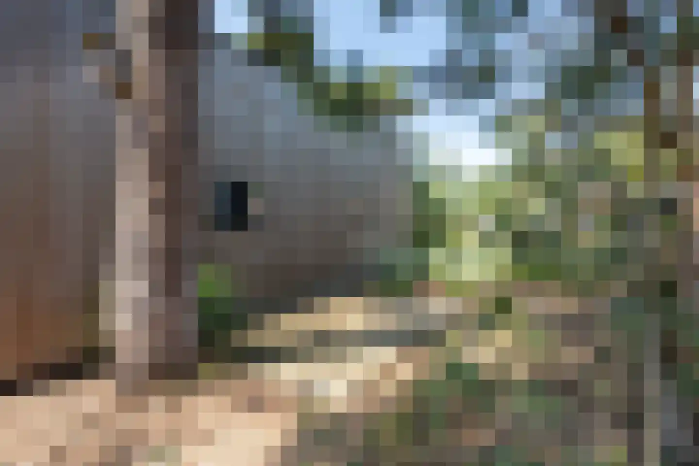 Vijverlaan 1 TH20 Otterlo thumbnail 15