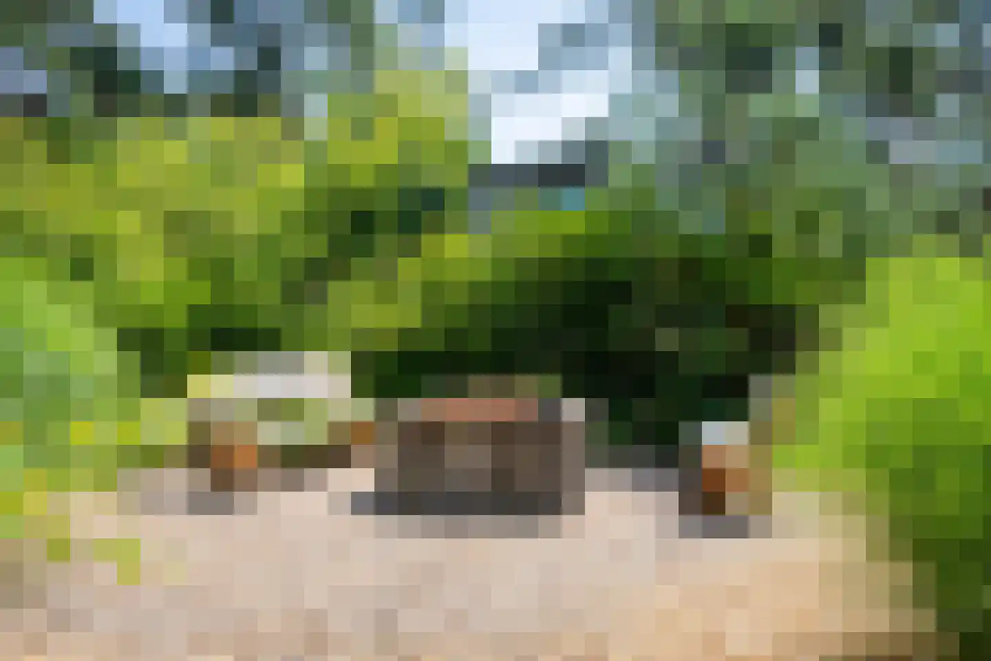Vijverlaan 1 TH20 Otterlo thumbnail 18