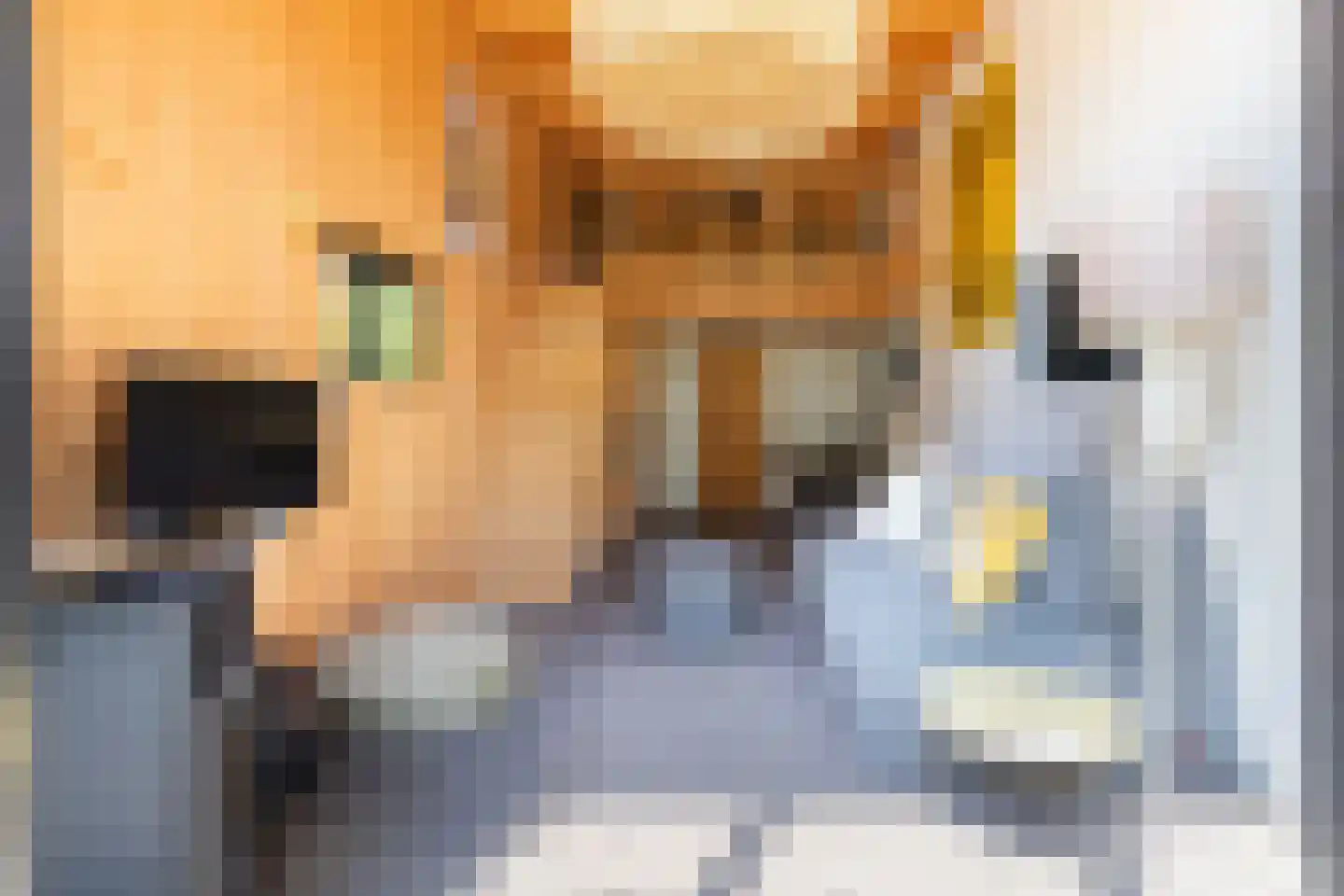 Vijverlaan 1 TH20 Otterlo thumbnail 4