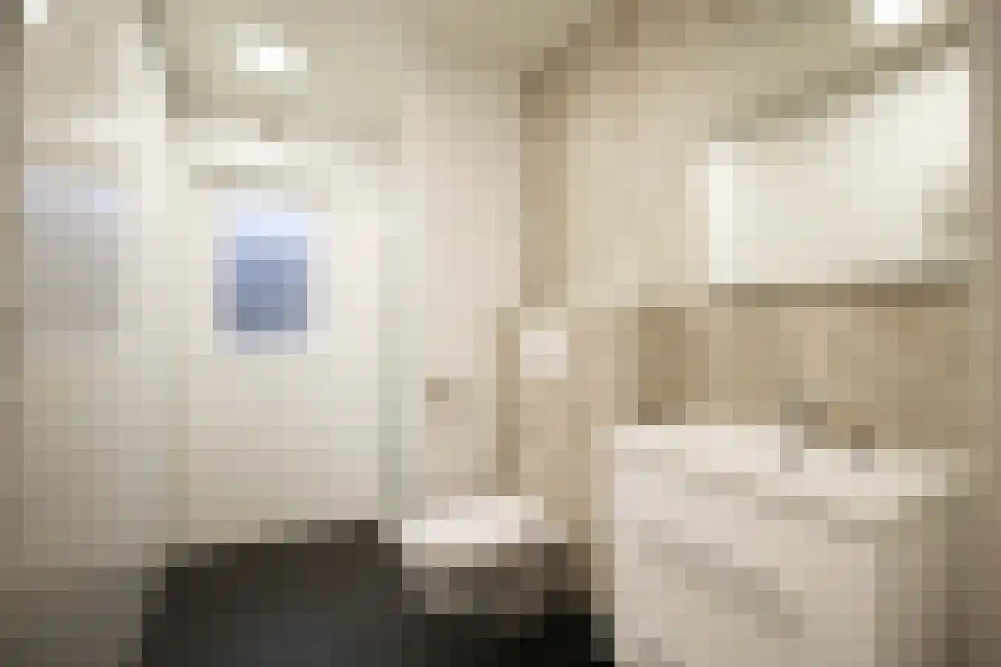 Vijverlaan 1 W1 Otterlo thumbnail 19