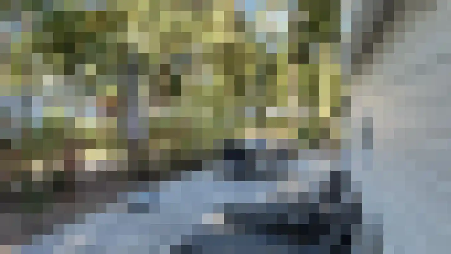Vijverlaan 1 W1 Otterlo thumbnail 4