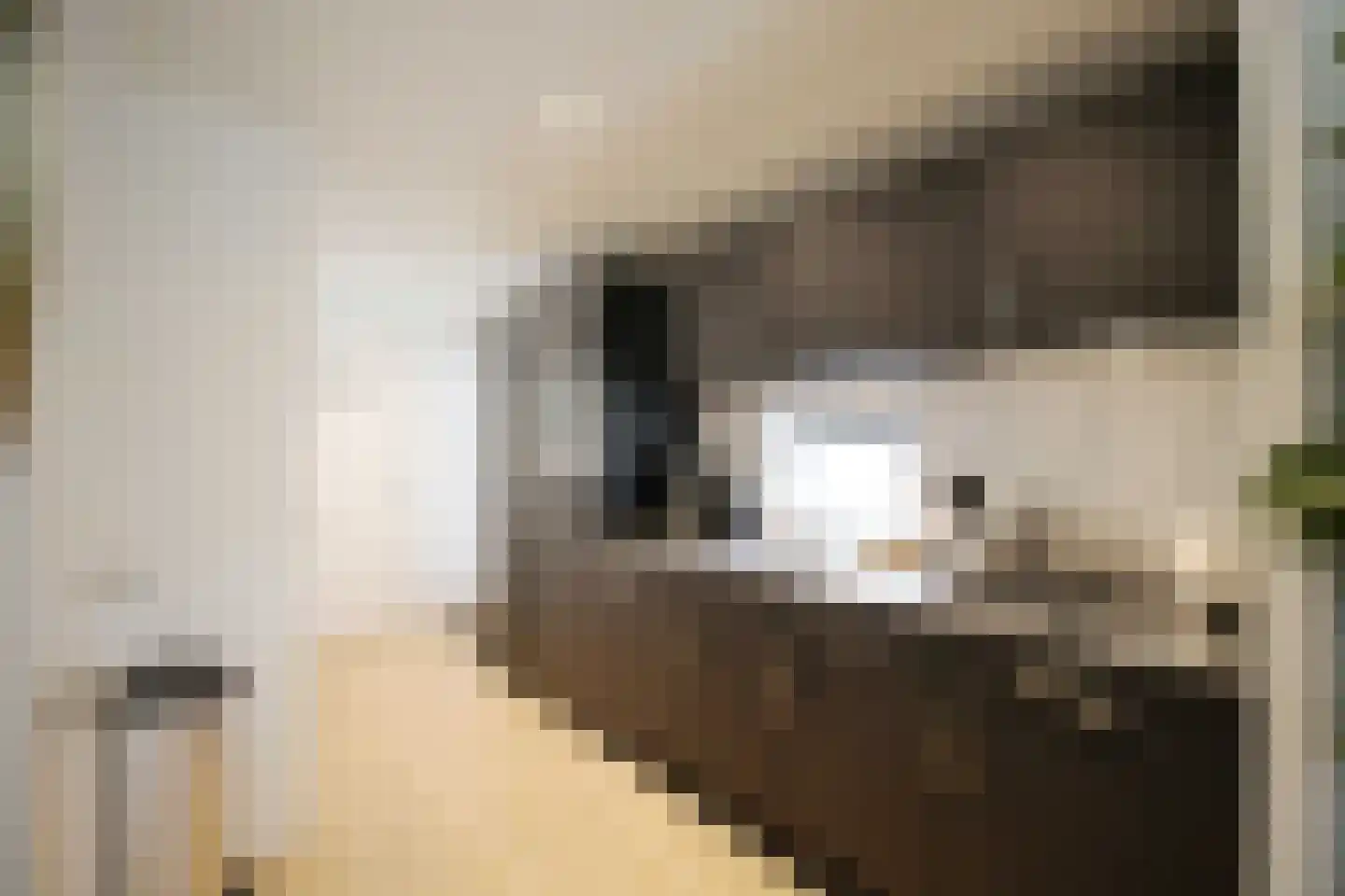 Vijverlaan 1 W1 Otterlo thumbnail 8