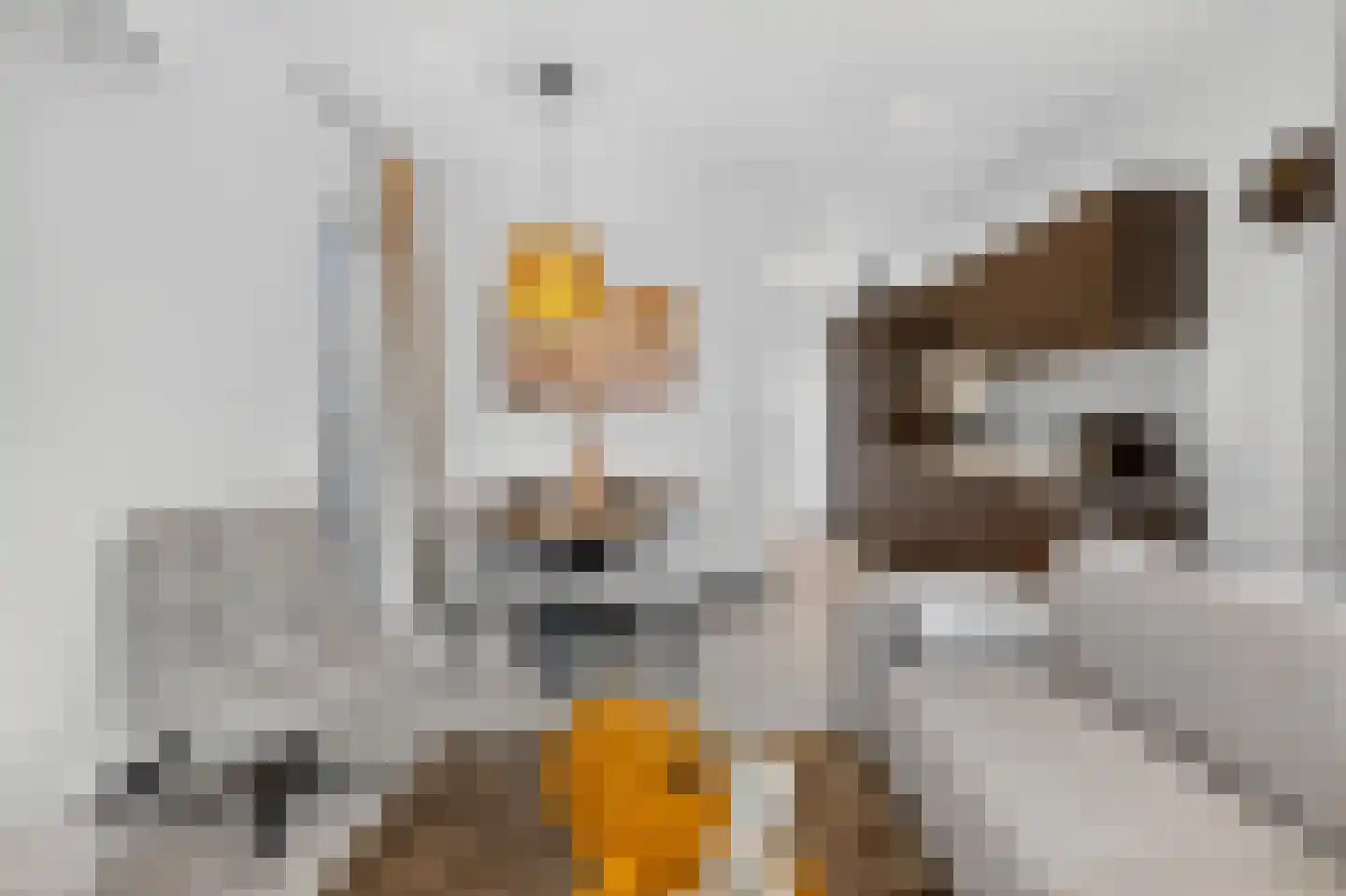 Vijverlaan 1 Y10 Otterlo foto 3
