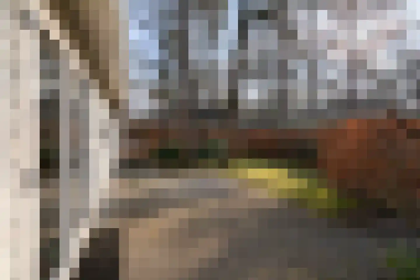 Vijverlaan 1 Y4 Otterlo thumbnail 5