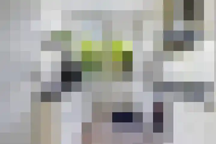 Vijverlaan 100 Dordrecht thumbnail 14