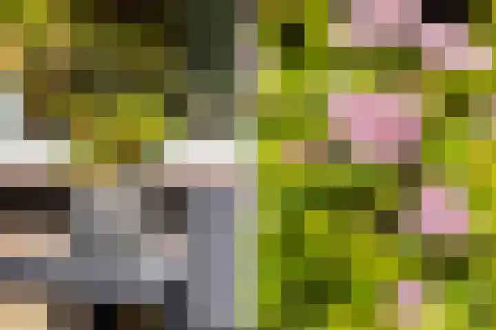 Vijverlaan 100 Dordrecht thumbnail 21