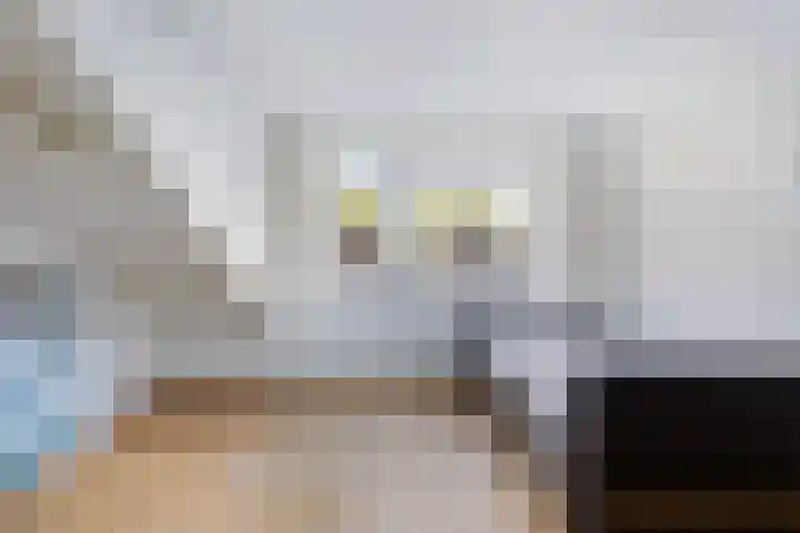 Vijverlaan 100 Dordrecht thumbnail 33