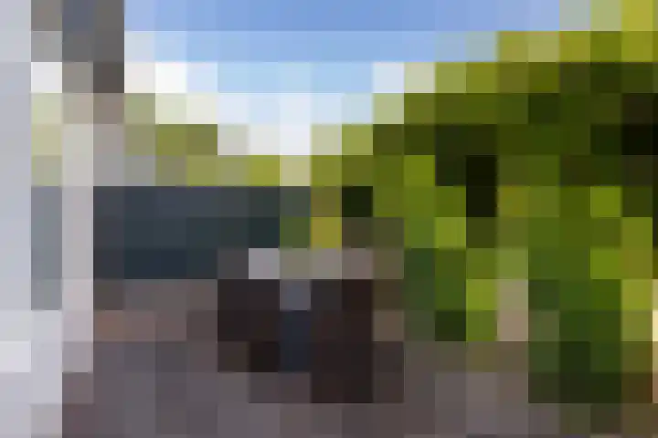 Vijverlaan 100 Dordrecht thumbnail 4