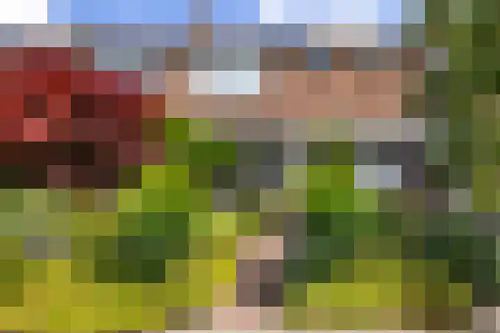 Vijverlaan 100 Dordrecht thumbnail 40