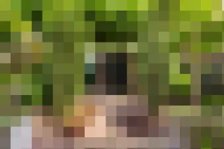 Vijverlaan 100 Dordrecht thumbnail 5