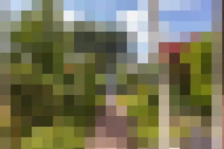 Vijverlaan 100 Dordrecht thumbnail 8