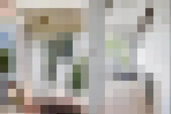 Vijverlaan 100 Dordrecht thumbnail 9