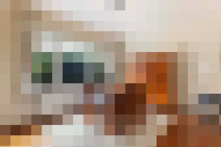 Vijverlaan 11 Apeldoorn thumbnail 10