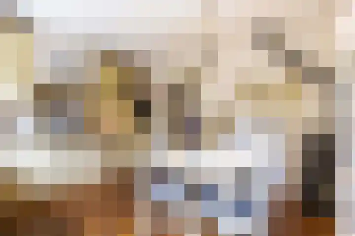 Vijverlaan 11 Apeldoorn thumbnail 12