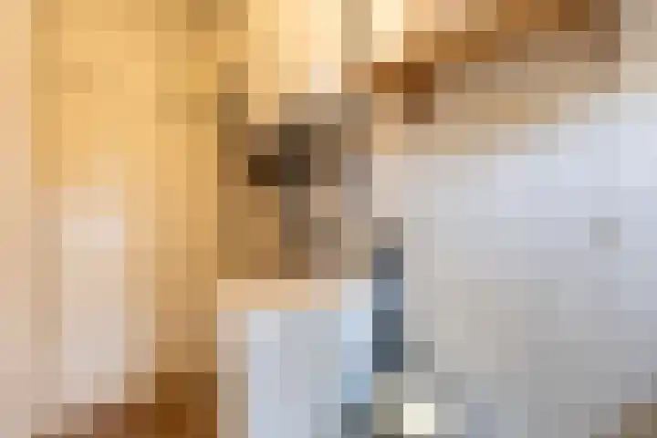 Vijverlaan 11 Apeldoorn thumbnail 14