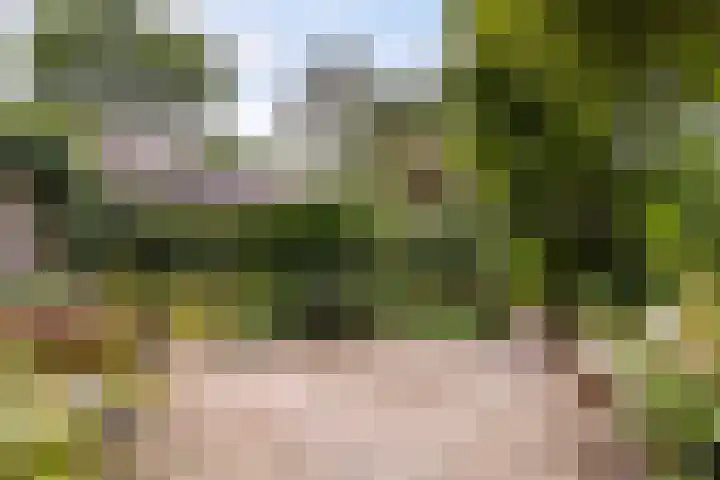 Vijverlaan 11 Apeldoorn thumbnail 15