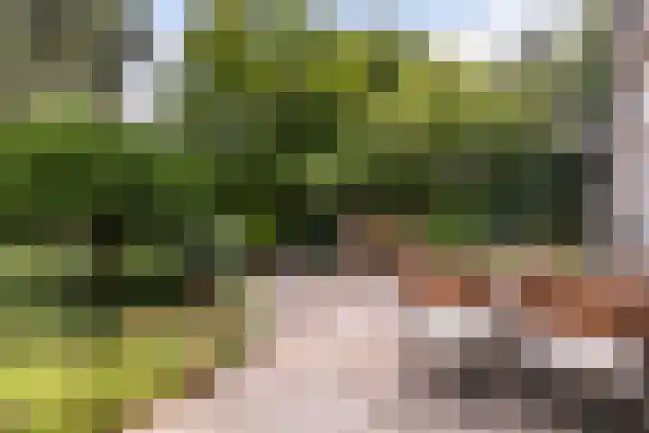 Vijverlaan 11 Apeldoorn thumbnail 16