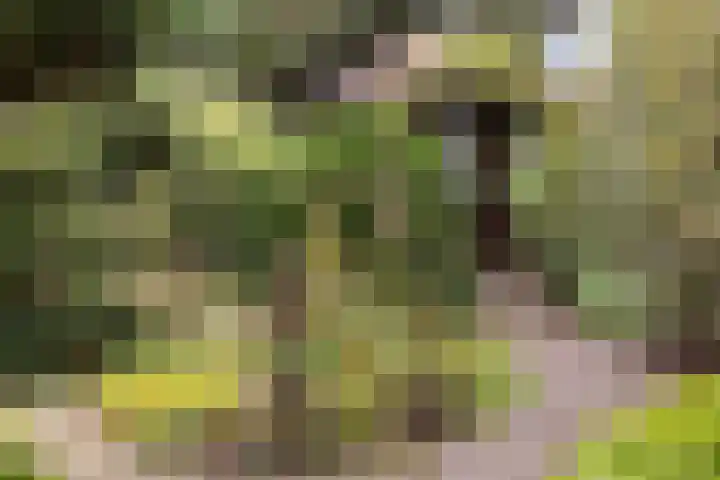 Vijverlaan 11 Apeldoorn thumbnail 17
