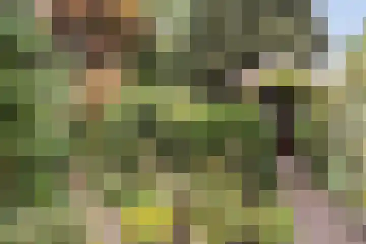 Vijverlaan 11 Apeldoorn thumbnail 18