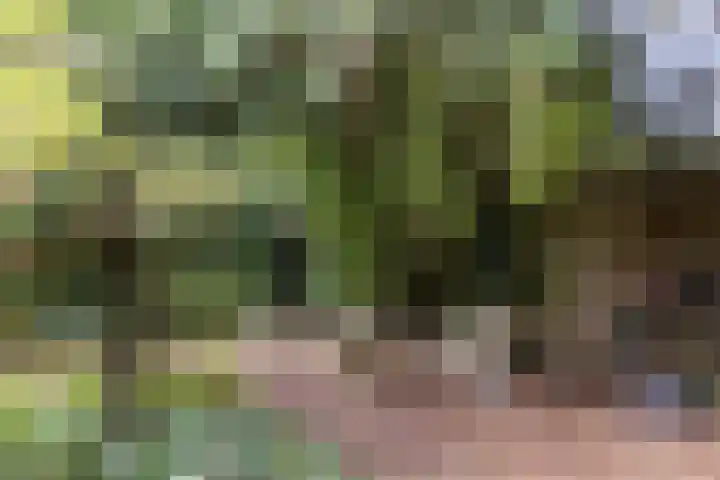 Vijverlaan 11 Apeldoorn thumbnail 19