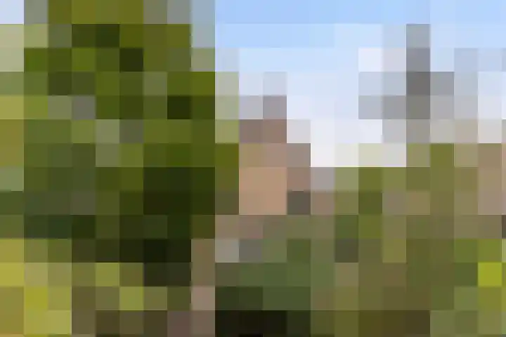 Vijverlaan 11 Apeldoorn thumbnail 20