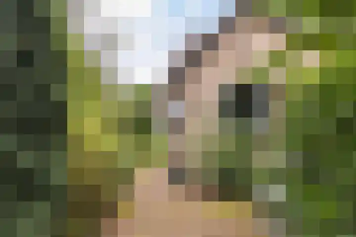 Vijverlaan 11 Apeldoorn thumbnail 21
