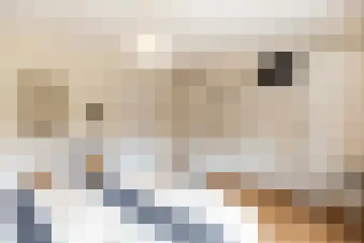 Vijverlaan 11 Apeldoorn thumbnail 24